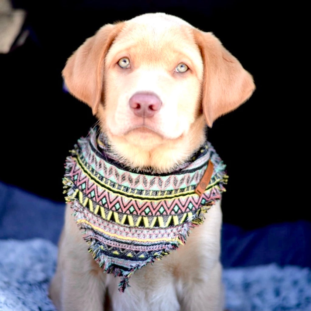 Hunde Fransentuch Halstuch für den Hund Boho Ethno Rosa