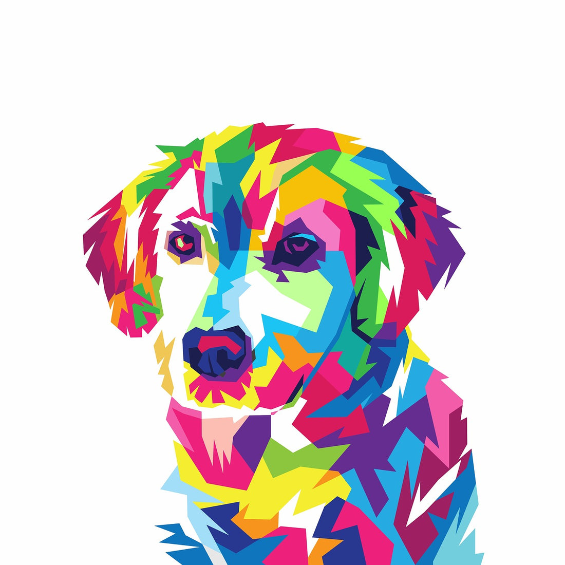 Der bunte Hund - Kinesiotaping für Hunde