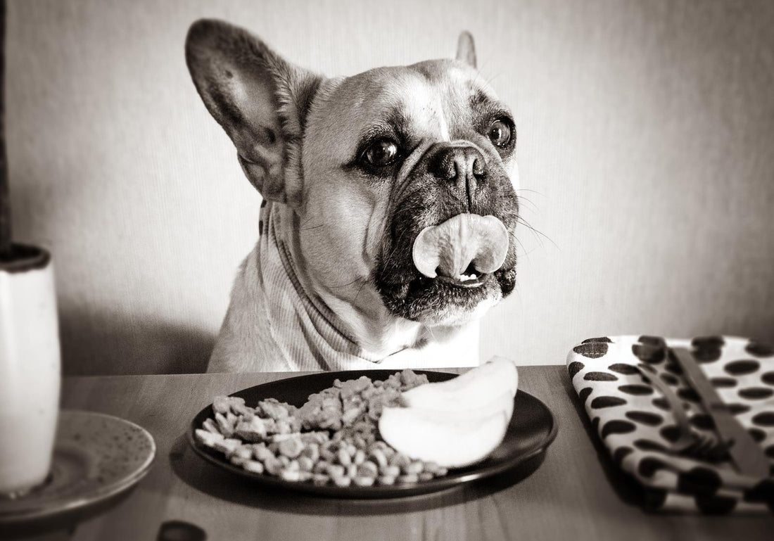 Das "perfekte" Futter
