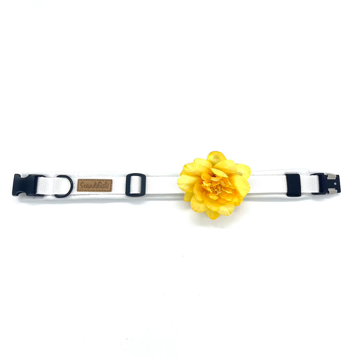 Hundeschmuck für Hundegeschirr, Leine, Halsband für den Hund