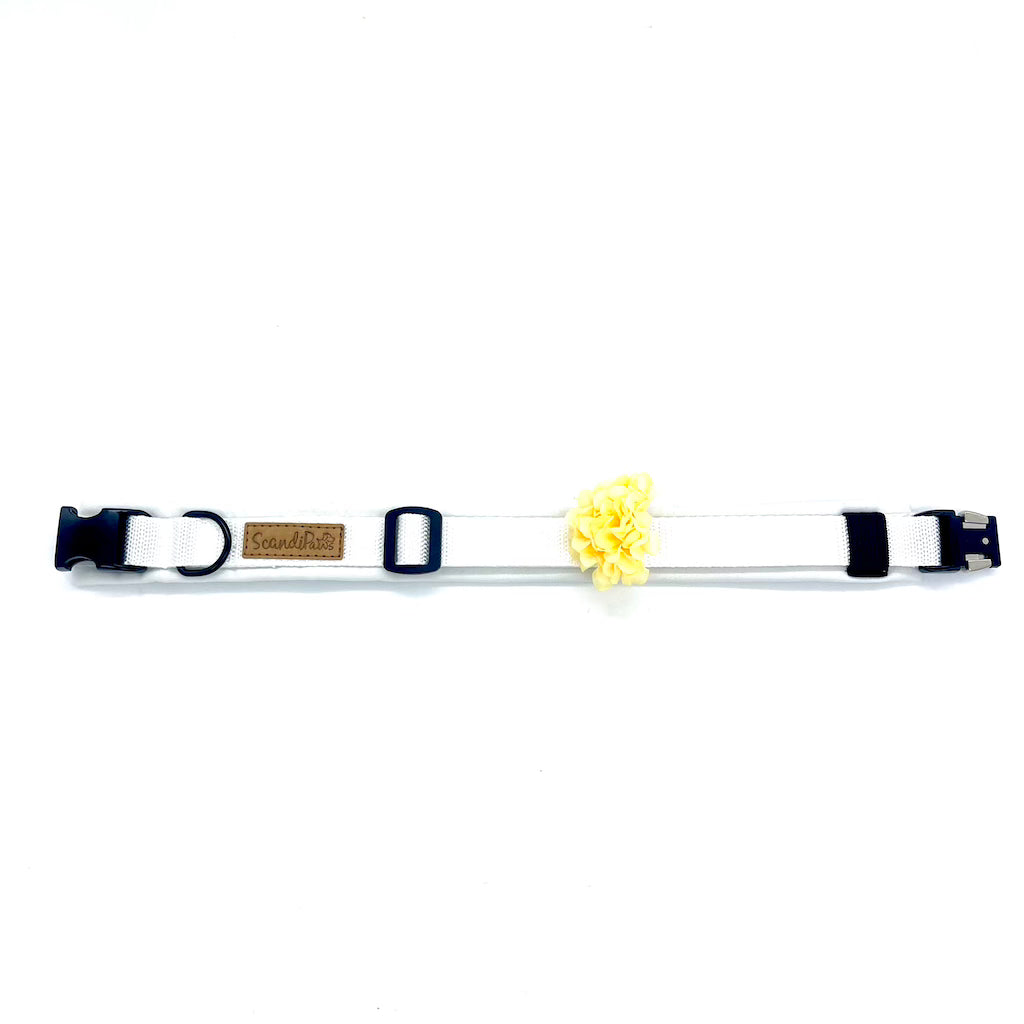 Hundeschmuck für Hundegeschirr, Leine, Halsband für den Hund
