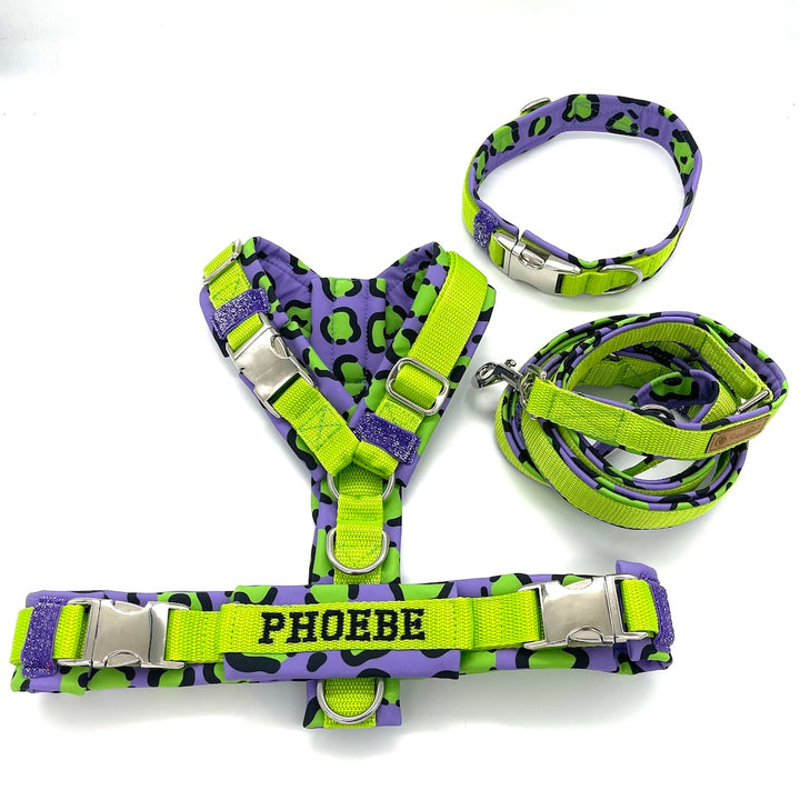 Hundeleine Softshell 3-fach verstellbar aus Softshell von ScandiPaws Lila Lemon crazy enough purple style silber