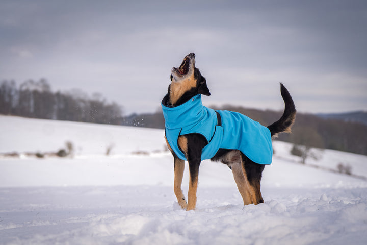 Hundemantel Beige
