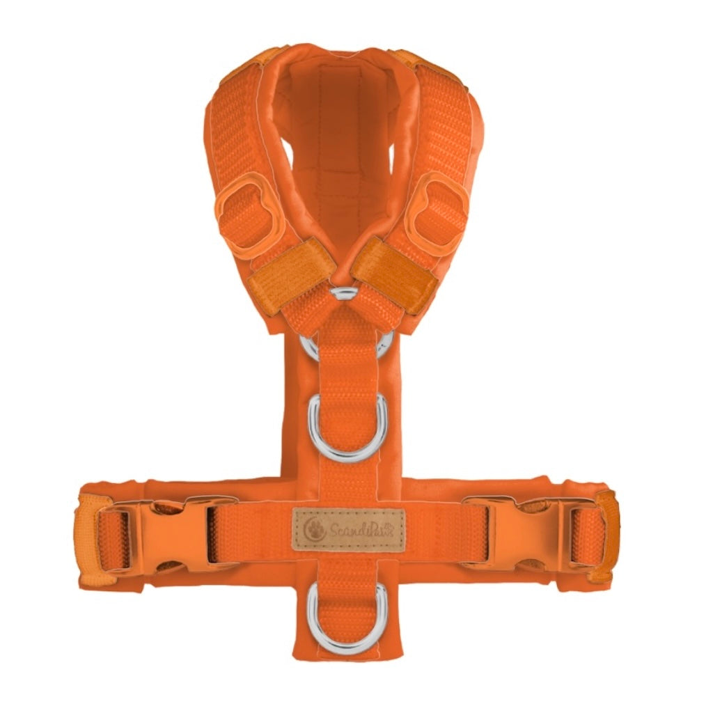 Hundegeschirr von ScandiPaws in Orange