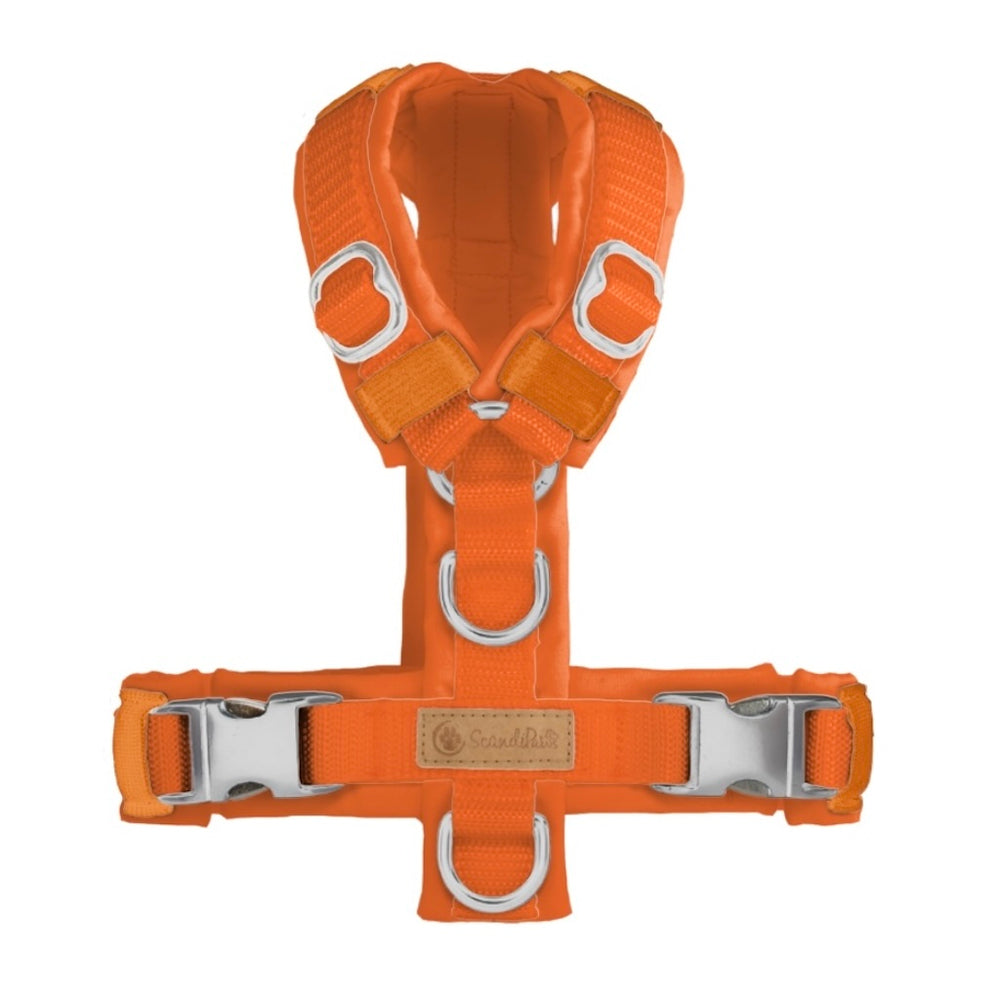 Hundegeschirr von ScandiPaws in Orange