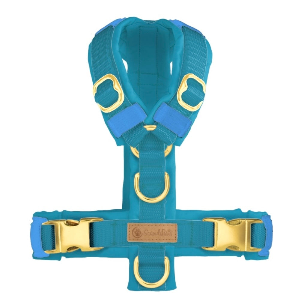 ScandiPaws Hundegeschirr Aquamarin