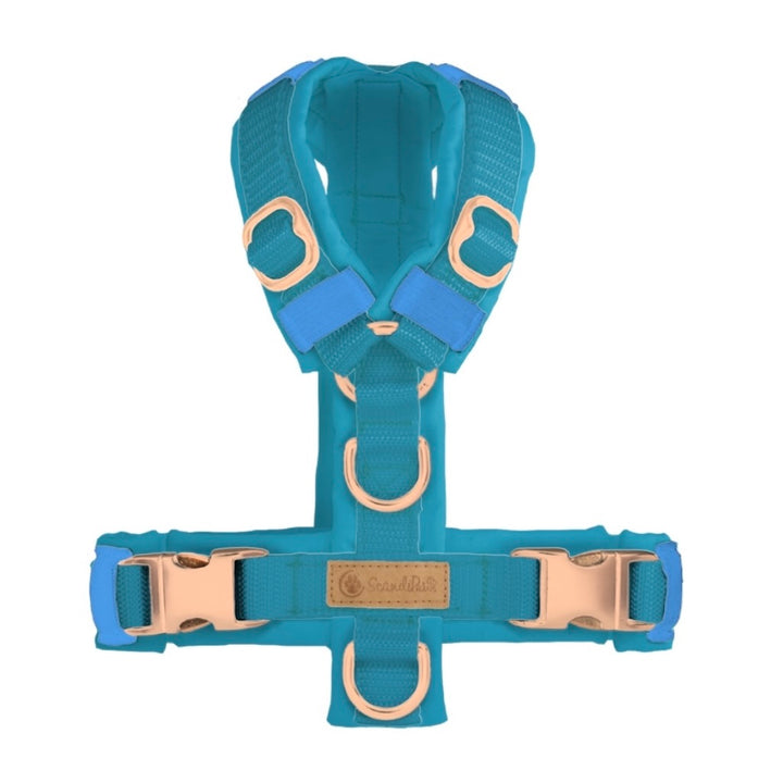 ScandiPaws Hundegeschirr Aquamarin