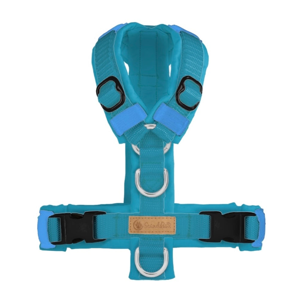 ScandiPaws Hundegeschirr Aquamarin
