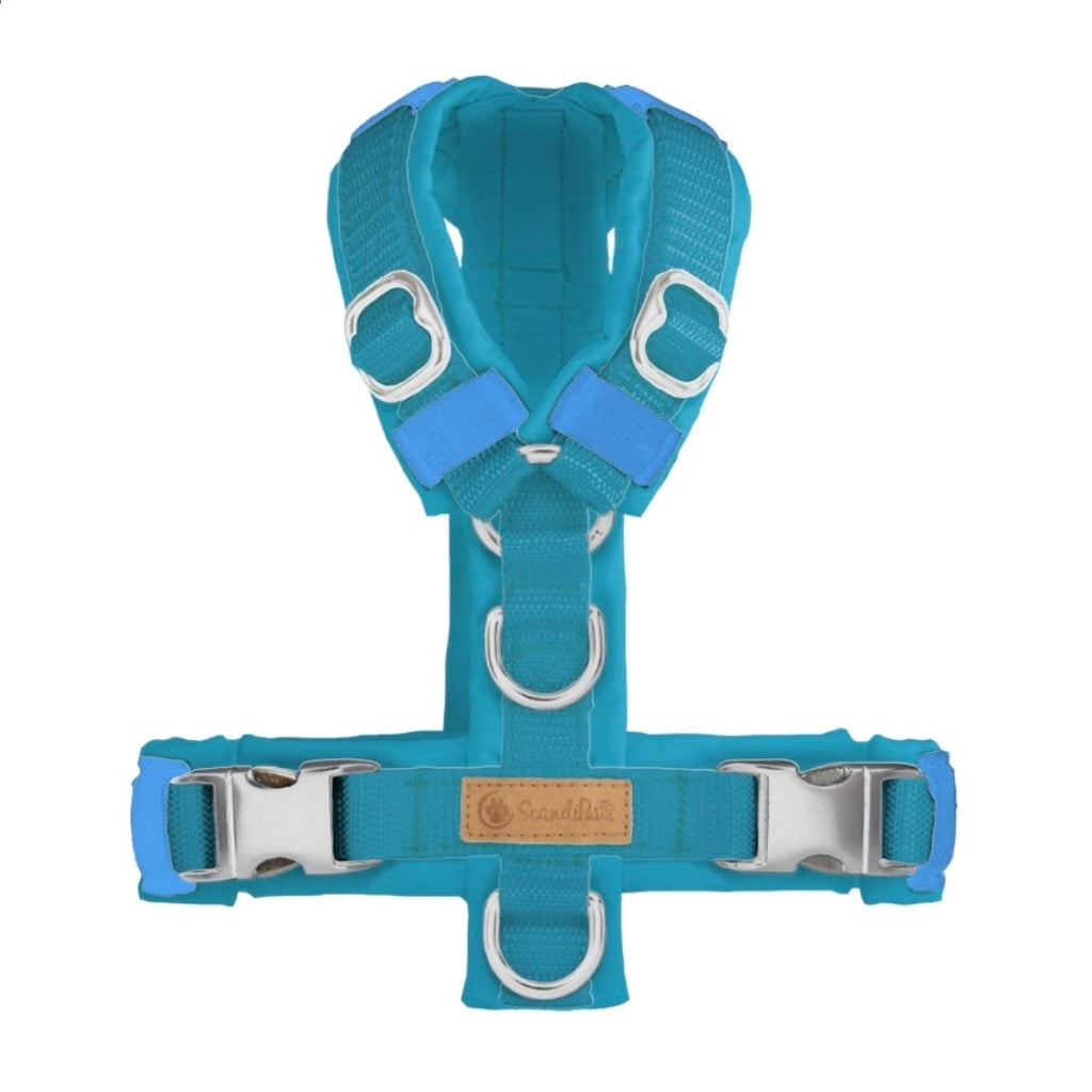 ScandiPaws Hundegeschirr Aquamarin