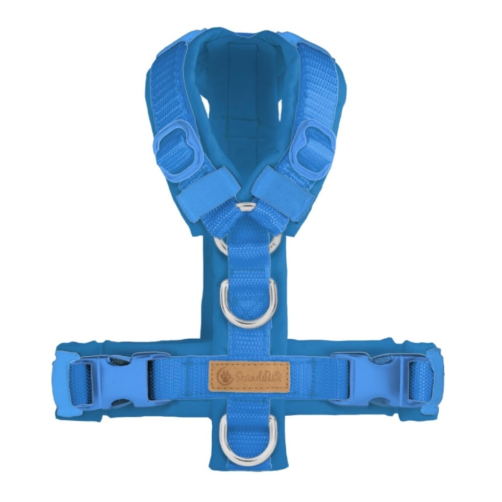 ScandiPaws Hundegeschirr Blau