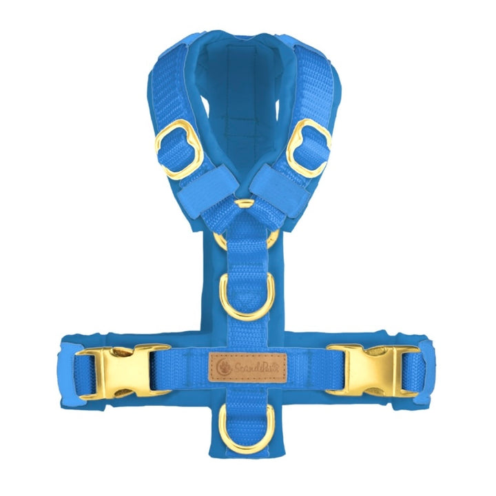 ScandiPaws Hundegeschirr Blau