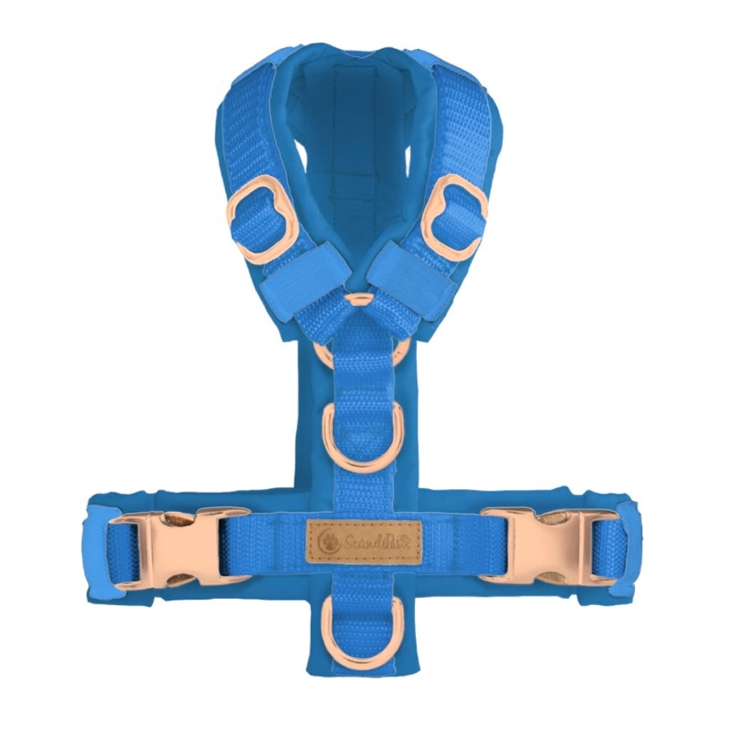 ScandiPaws Hundegeschirr Blau