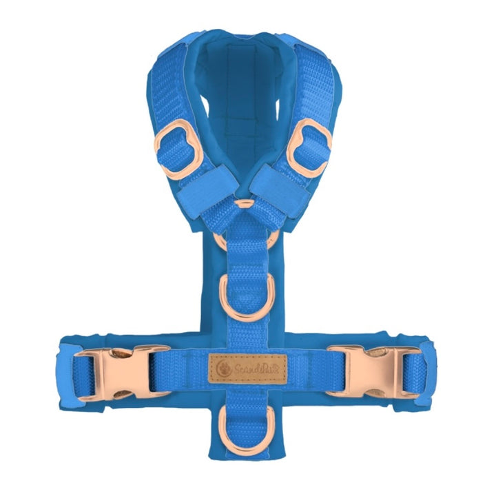ScandiPaws Hundegeschirr Blau