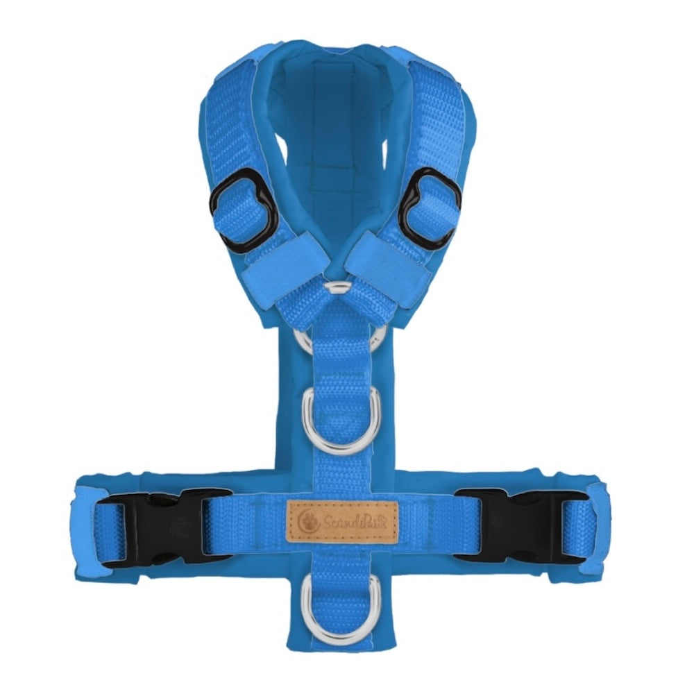 ScandiPaws Hundegeschirr Blau