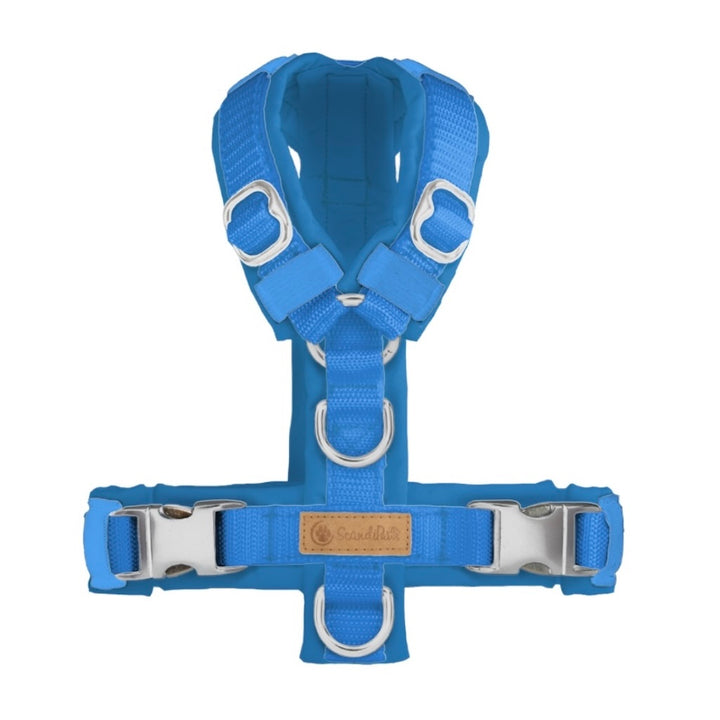 ScandiPaws Hundegeschirr Blau