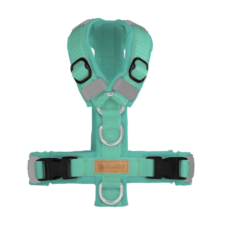 Hundegeschirr in der Farbe MINT von ScandiPaws 