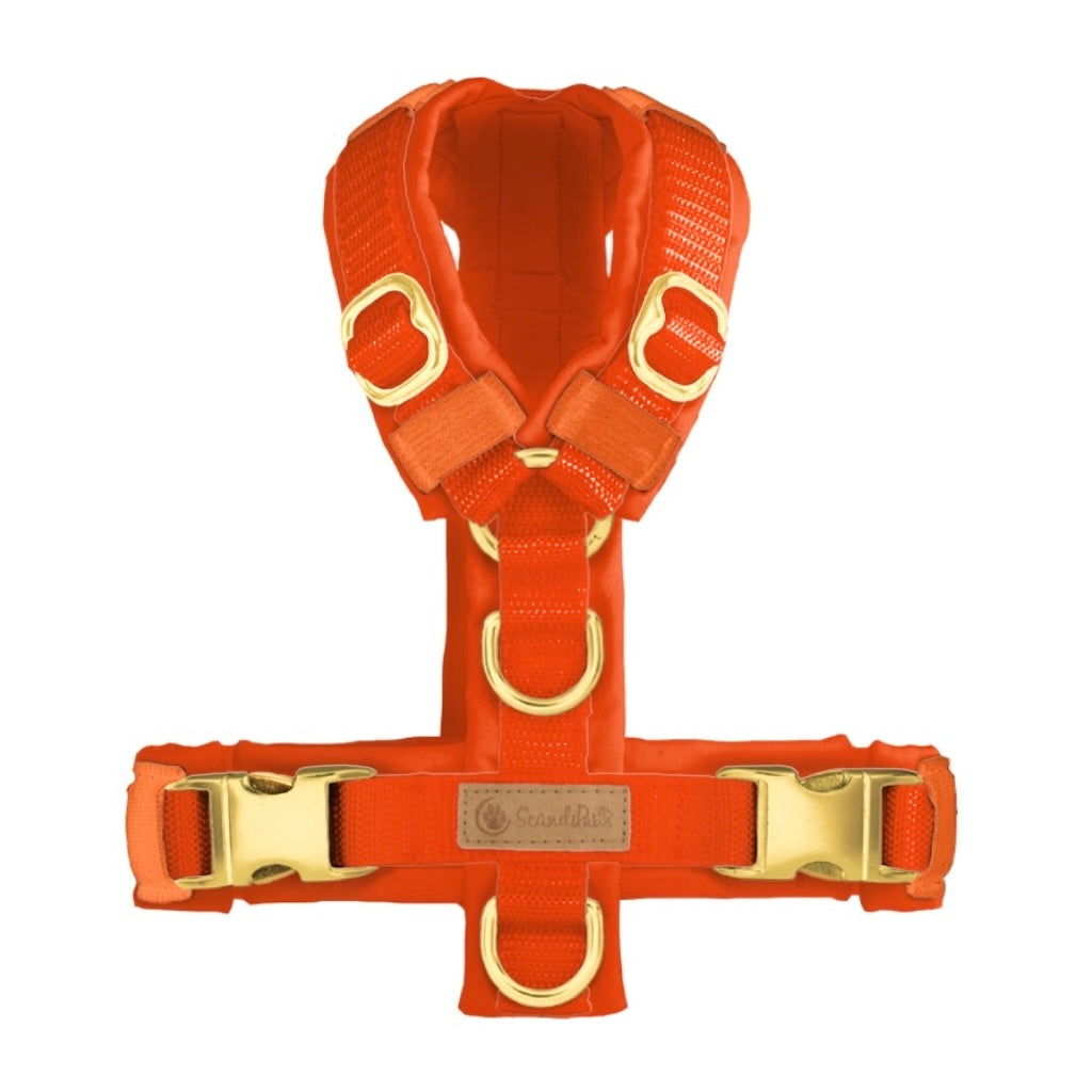 ScandiPaws Hundegeschirr Neonorange