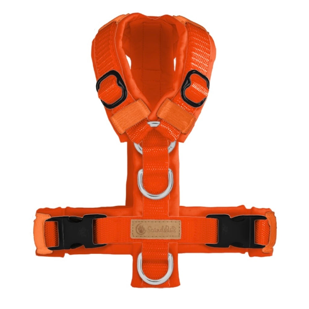 ScandiPaws Hundegeschirr Neonorange