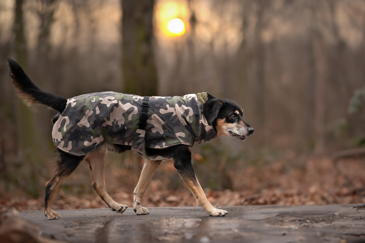 Hundemantel Camouflage