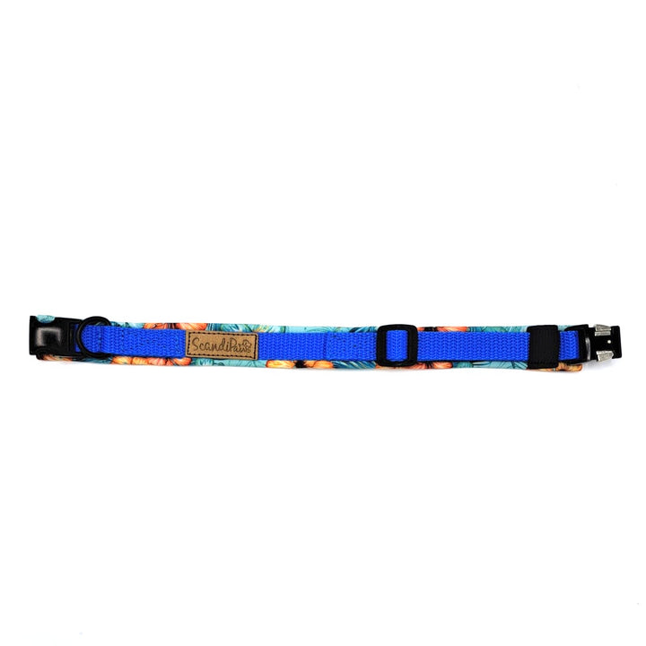 Hochwertiges Hundehalsband aus robustem Material, verstellbar und komfortabel, ideal für Spaziergänge und Sicherheit, in modernem Design. Hunde Halsband Schwarz Black Queen Königsblau Blau Blue Aloha Hawaii