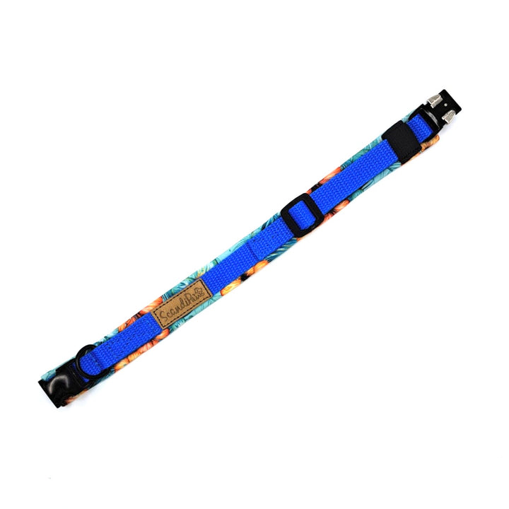Hochwertiges Hundehalsband aus robustem Material, verstellbar und komfortabel, ideal für Spaziergänge und Sicherheit, in modernem Design. Hunde Halsband Schwarz Black Queen Königsblau Blau Blue Aloha Hawaii