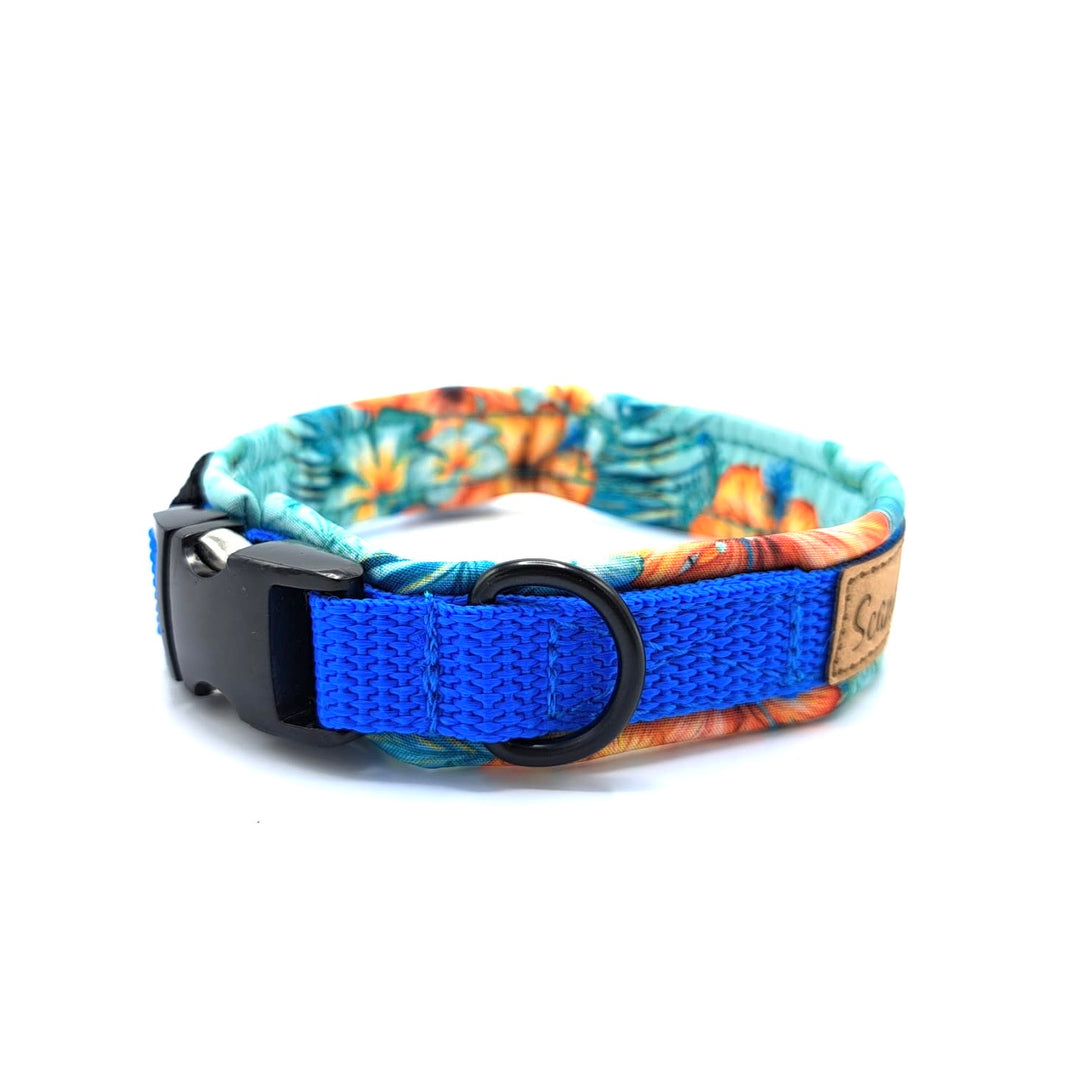 Hochwertiges Hundehalsband aus robustem Material, verstellbar und komfortabel, ideal für Spaziergänge und Sicherheit, in modernem Design. Hunde Halsband Schwarz Black Queen Königsblau Blau Blue Aloha Hawaii
