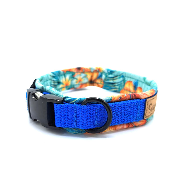 Hochwertiges Hundehalsband aus robustem Material, verstellbar und komfortabel, ideal für Spaziergänge und Sicherheit, in modernem Design. Hunde Halsband Schwarz Black Queen Königsblau Blau Blue Aloha Hawaii