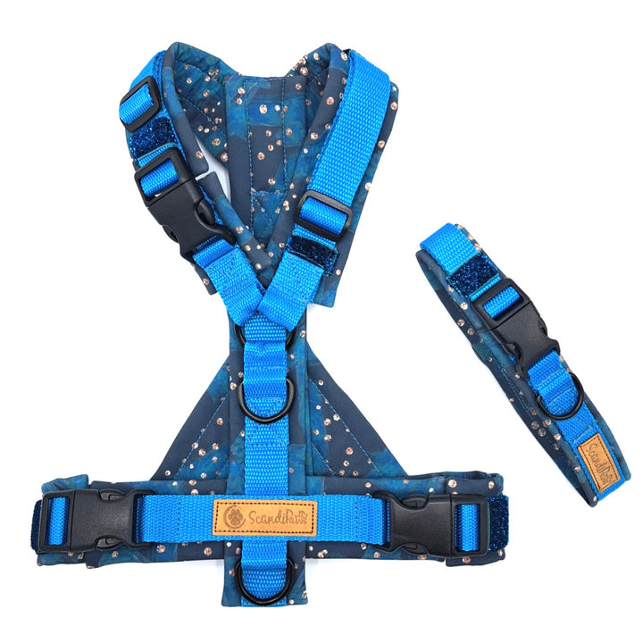 Hundehalsband aus robustem Material, verstellbar und komfortabel. Hunde Halsband night Ski blau Blue