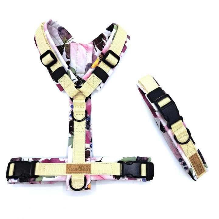 Hochwertiges Hundehalsband aus robustem Material, verstellbar und komfortabel. halsband Flowers Blumen purple lila wollweiß