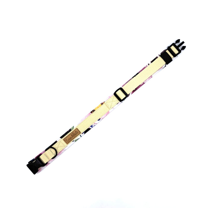 Hochwertiges Hundehalsband aus robustem Material, verstellbar und komfortabel. halsband Flowers Blumen purple lila wollweiß