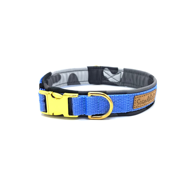 Hochwertiges Hundehalsband aus robustem Material, verstellbar und komfortabel, ideal für Spaziergänge und Sicherheit, in modernem Design. Hunde Halsband Aqua  Blau Blue Gold