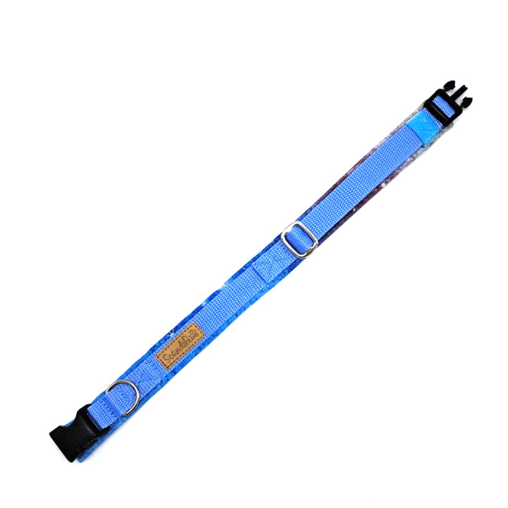 Hundehalsband aus robustem Material, verstellbar und komfortabel. Hunde Halsband Aqua  Blau Blue Silber Galaxy