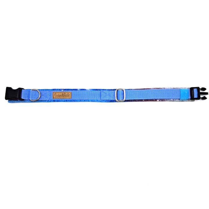 Hundehalsband aus robustem Material, verstellbar und komfortabel. Hunde Halsband Aqua  Blau Blue Silber Galaxy