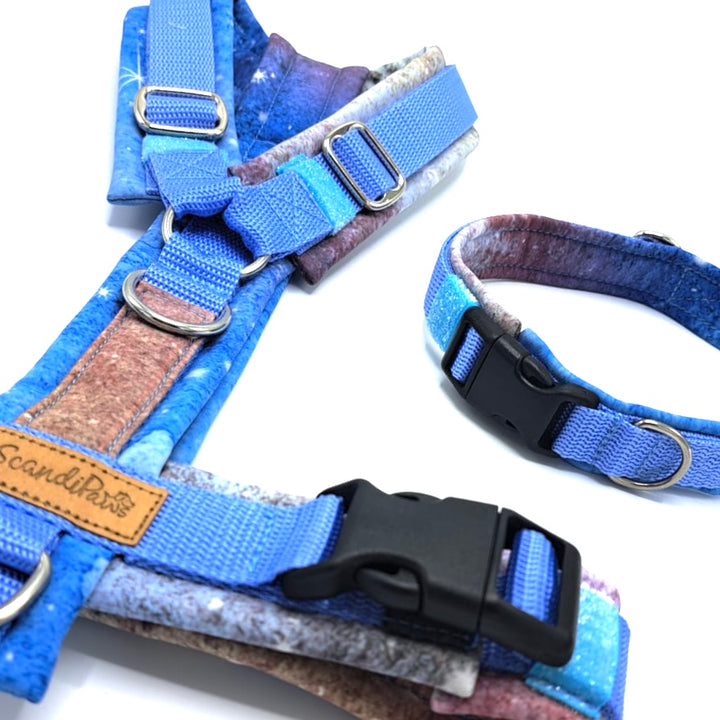Hundehalsband aus robustem Material, verstellbar und komfortabel. Hunde Halsband Aqua  Blau Blue Silber Galaxy
