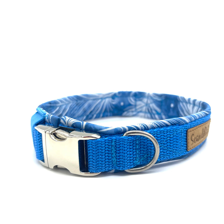 Hochwertiges Hundehalsband aus robustem Material, verstellbar und komfortabel, ideal für Spaziergänge und Sicherheit, in modernem Design. Hunde Halsband Aqua  Blau Blue Silber Feder Feather