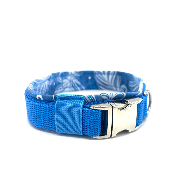 Hochwertiges Hundehalsband aus robustem Material, verstellbar und komfortabel, ideal für Spaziergänge und Sicherheit, in modernem Design. Hunde Halsband Aqua  Blau Blue Silber Feder Feather