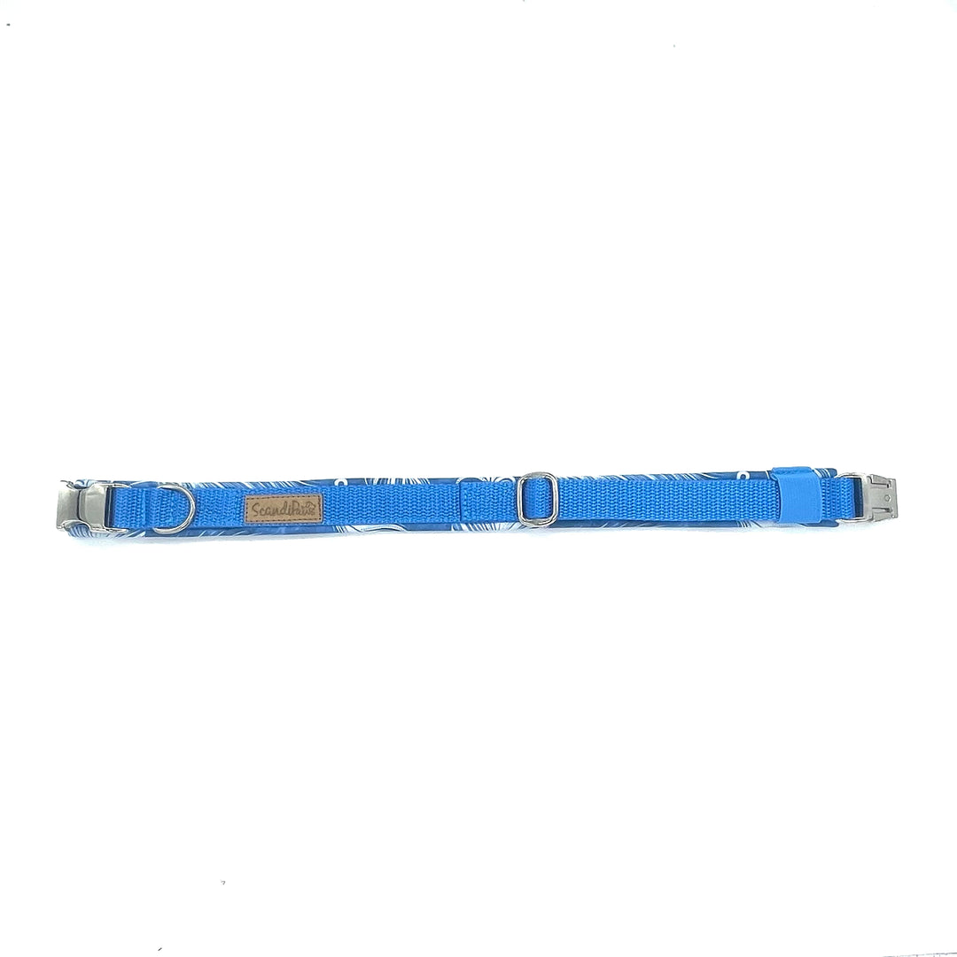 Hochwertiges Hundehalsband aus robustem Material, verstellbar und komfortabel, ideal für Spaziergänge und Sicherheit, in modernem Design. Hunde Halsband Aqua  Blau Blue Silber Feder Feather
