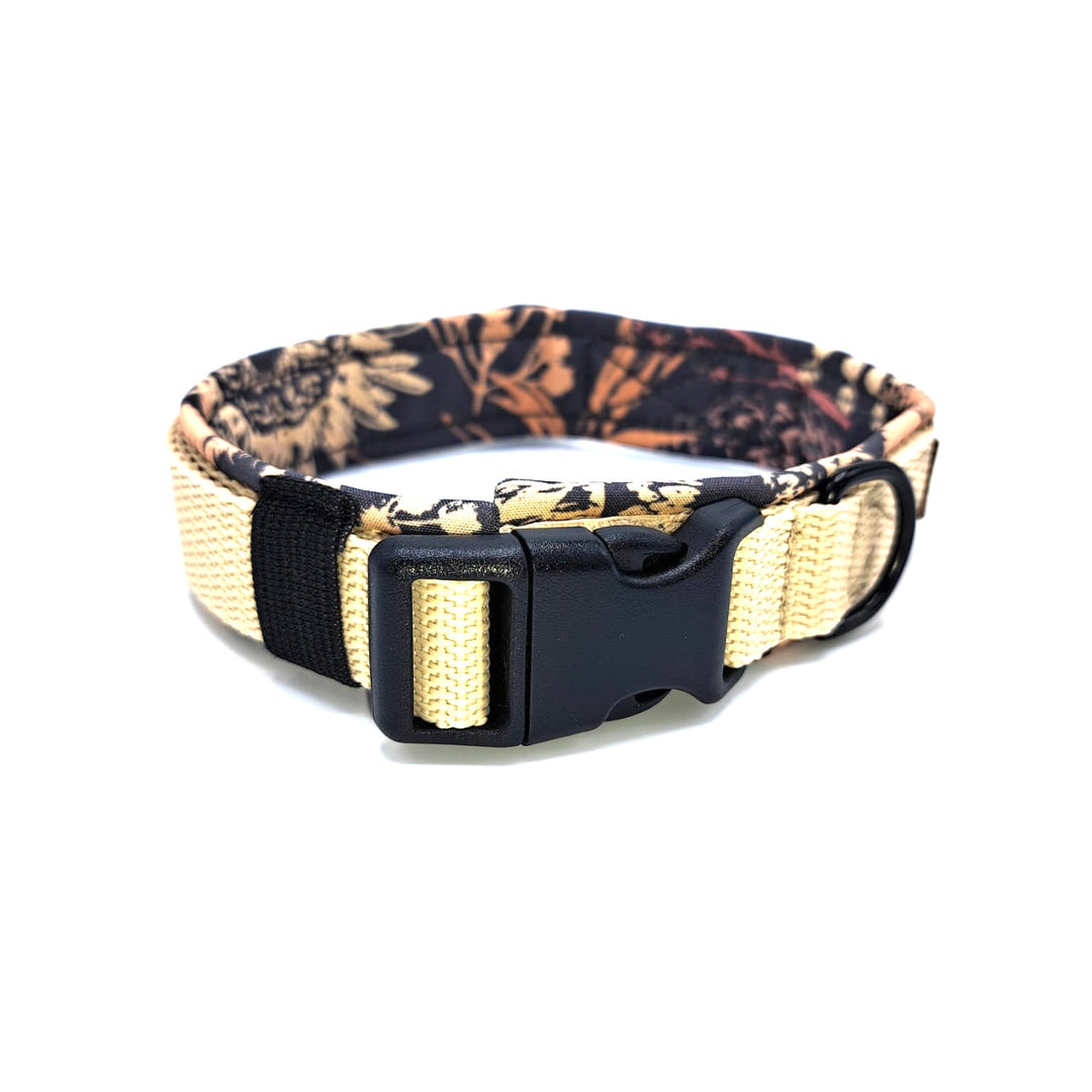 Hundehalsband aus robustem Material, verstellbar und komfortabel. Hunde Halsband wollweiß Herbst Gräser 