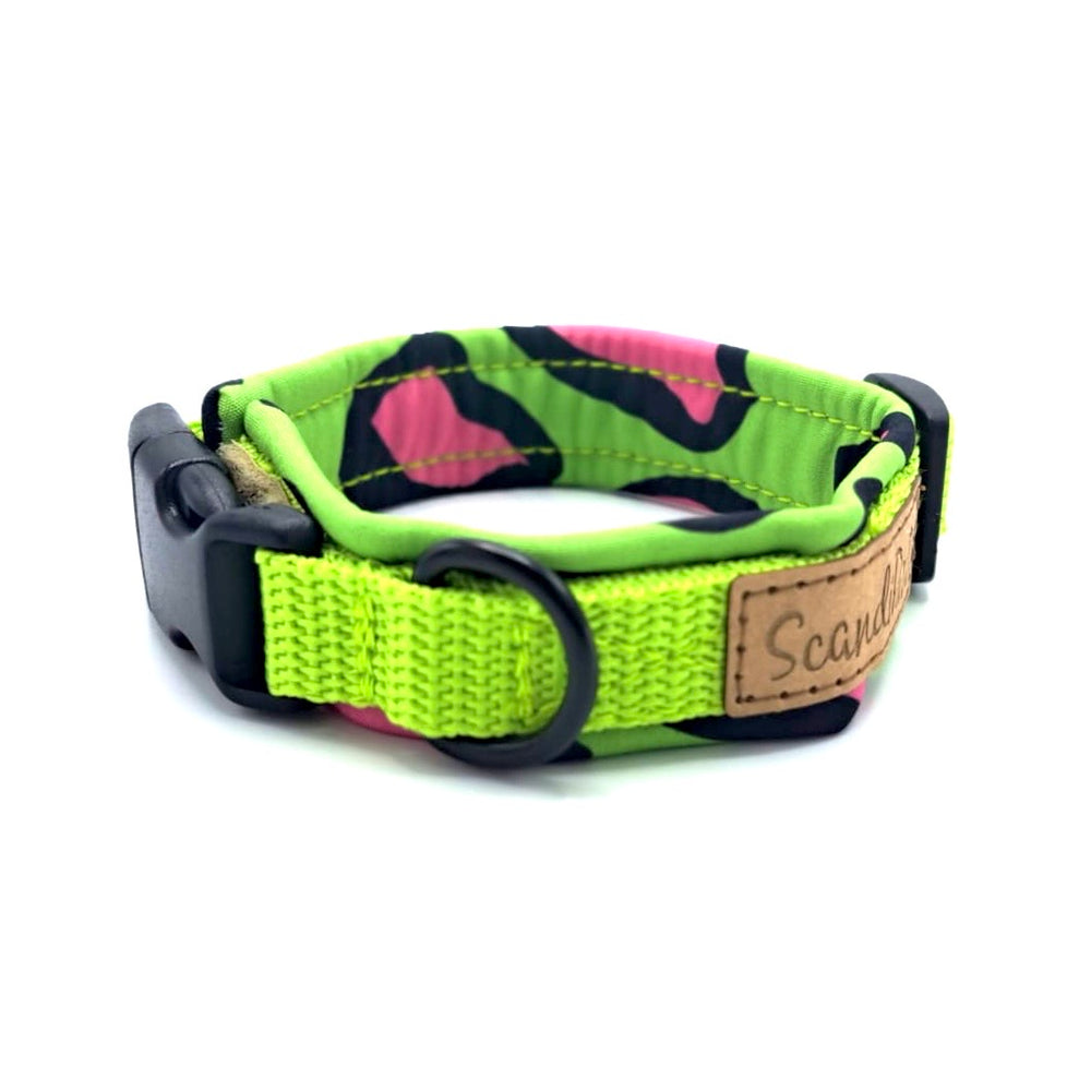 Hundehalsband aus robustem Material, verstellbar und komfortabel. Hunde Halsband Neon style Lemon pink schwarz grün