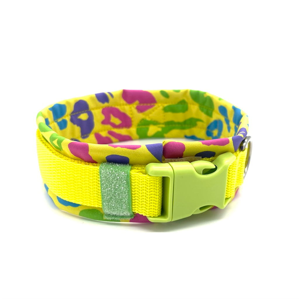 Hochwertiges Hundehalsband aus robustem Material, verstellbar und komfortabel. Halsband Lemon Leo Leopard Gelb