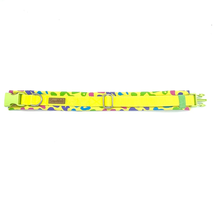 Hochwertiges Hundehalsband aus robustem Material, verstellbar und komfortabel. Halsband Lemon Leo Leopard Gelb
