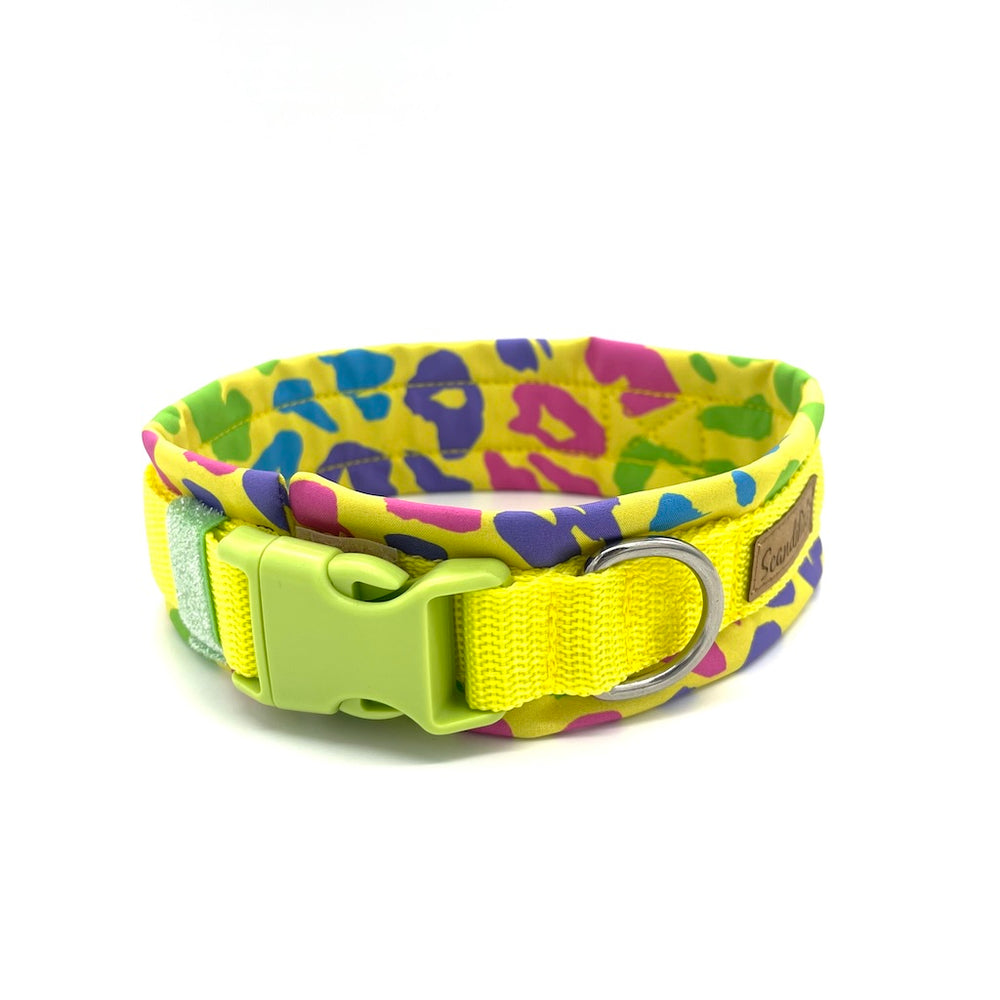Hochwertiges Hundehalsband aus robustem Material, verstellbar und komfortabel. Halsband Lemon Leo Leopard Gelb
