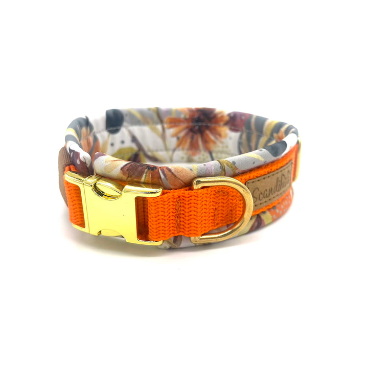 Hund Halsband Dog Dollar Kornblumen orange