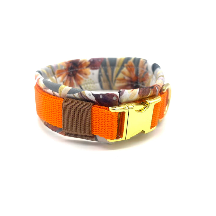 Hund Halsband Dog Dollar Kornblumen orange