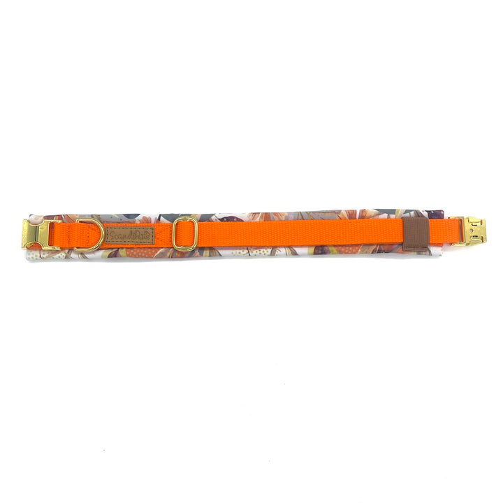 Hund Halsband Dog Dollar Kornblumen orange