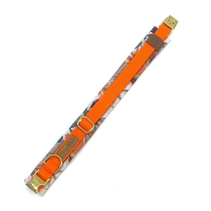 Hund Halsband Dog Dollar Kornblumen orange
