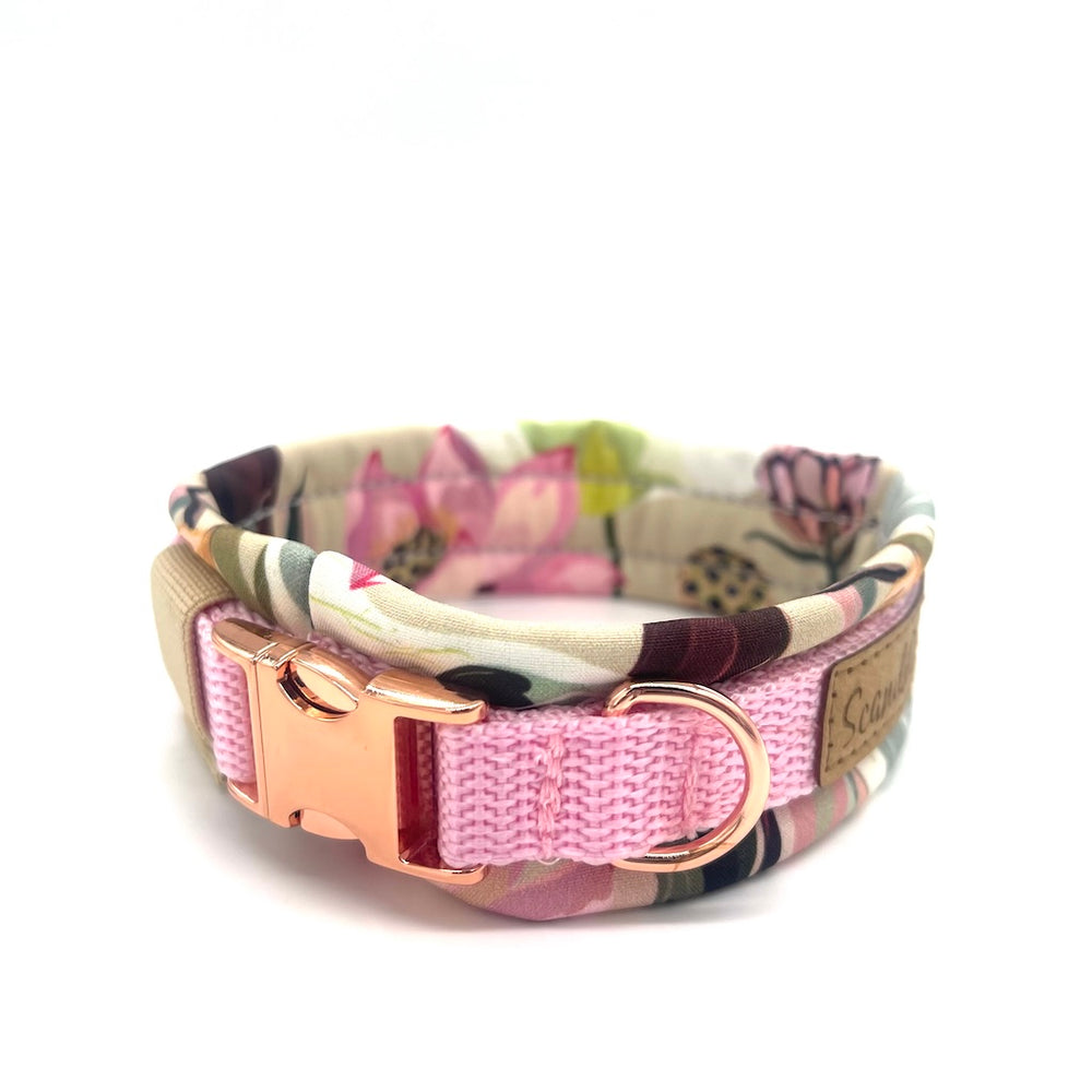 Hund Halsband Dog Dollar Rosa Pastell Blumen Rosegold