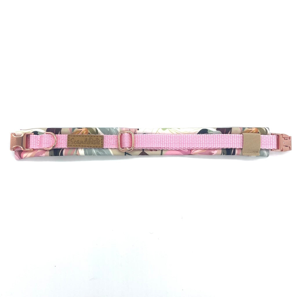 Hund Halsband Dog Dollar Rosa Pastell Blumen Rosegold