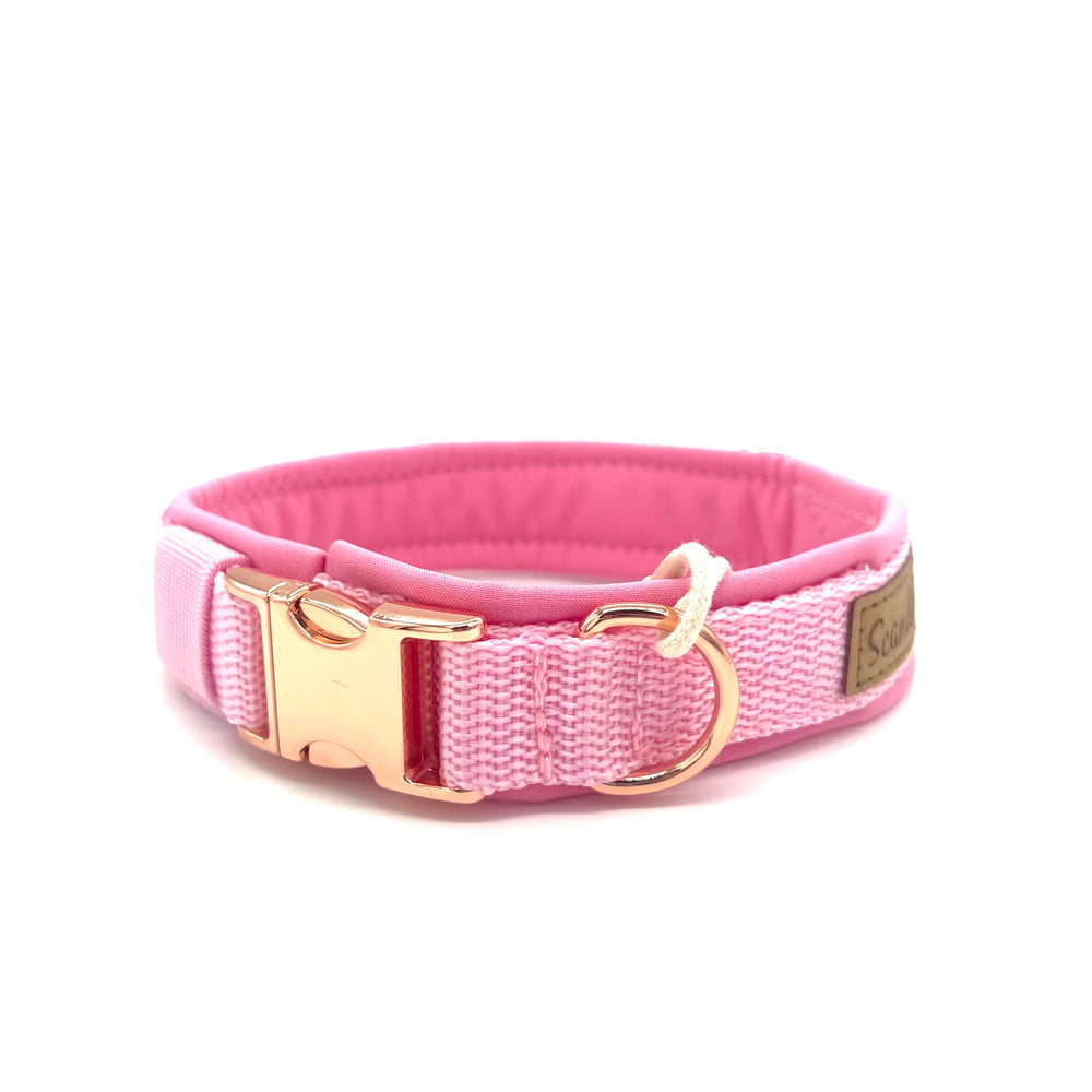 Hochwertiges Hundehalsband aus robustem Material, verstellbar und komfortabel. halsband Rosa 
