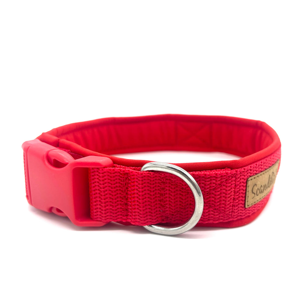 Hochwertiges Hundehalsband aus robustem Material, verstellbar und komfortabel. halsband Rot
